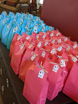 Pet Goody Bags with some help from our local pet stores