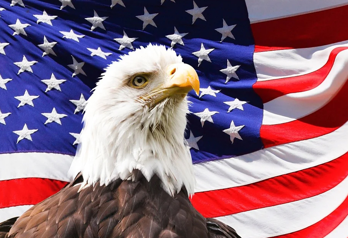 Flag Eagle